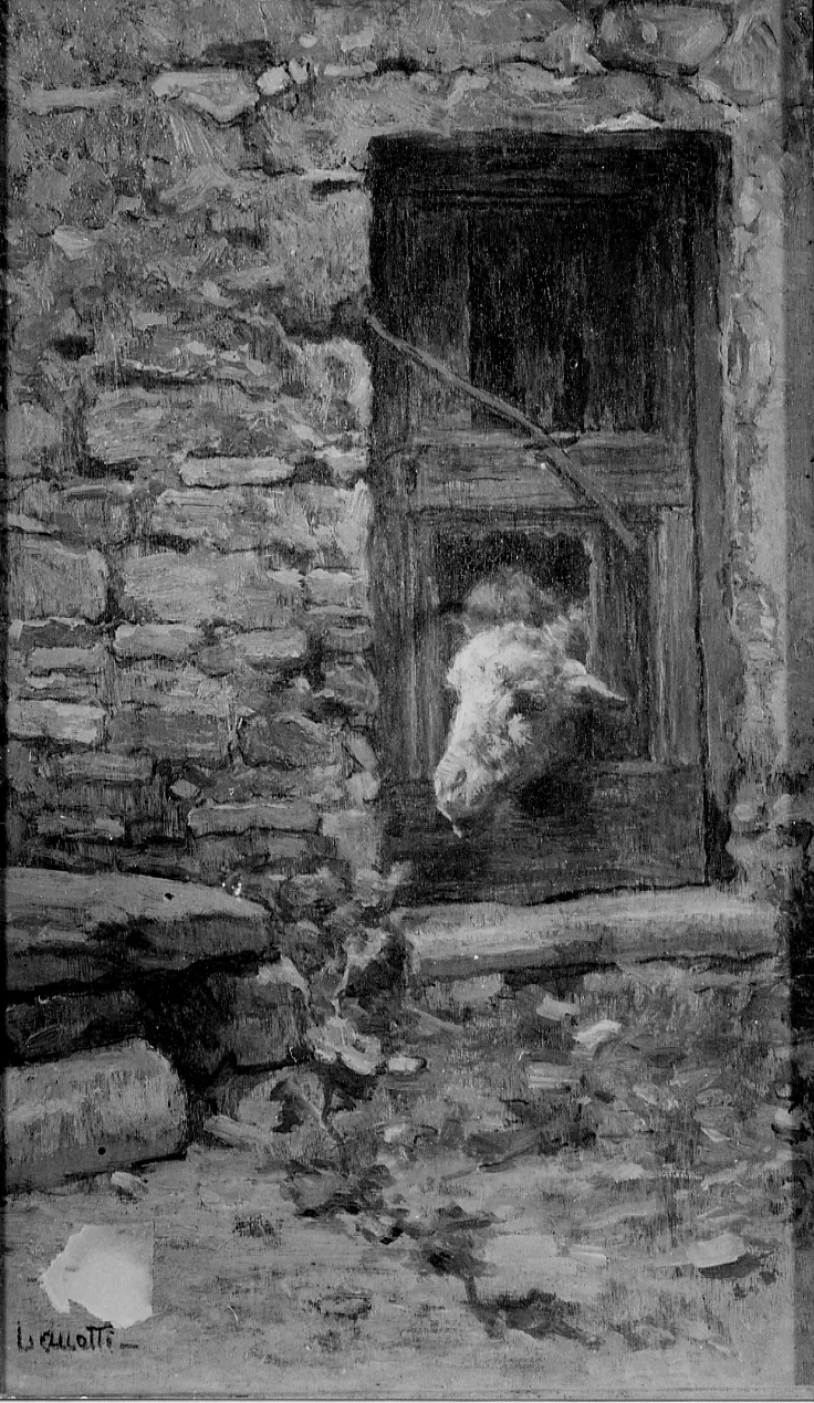 Valerio Laccetti - pecora che fa capolino dalla porta dell'ovile, Mseo Civico, Pescia